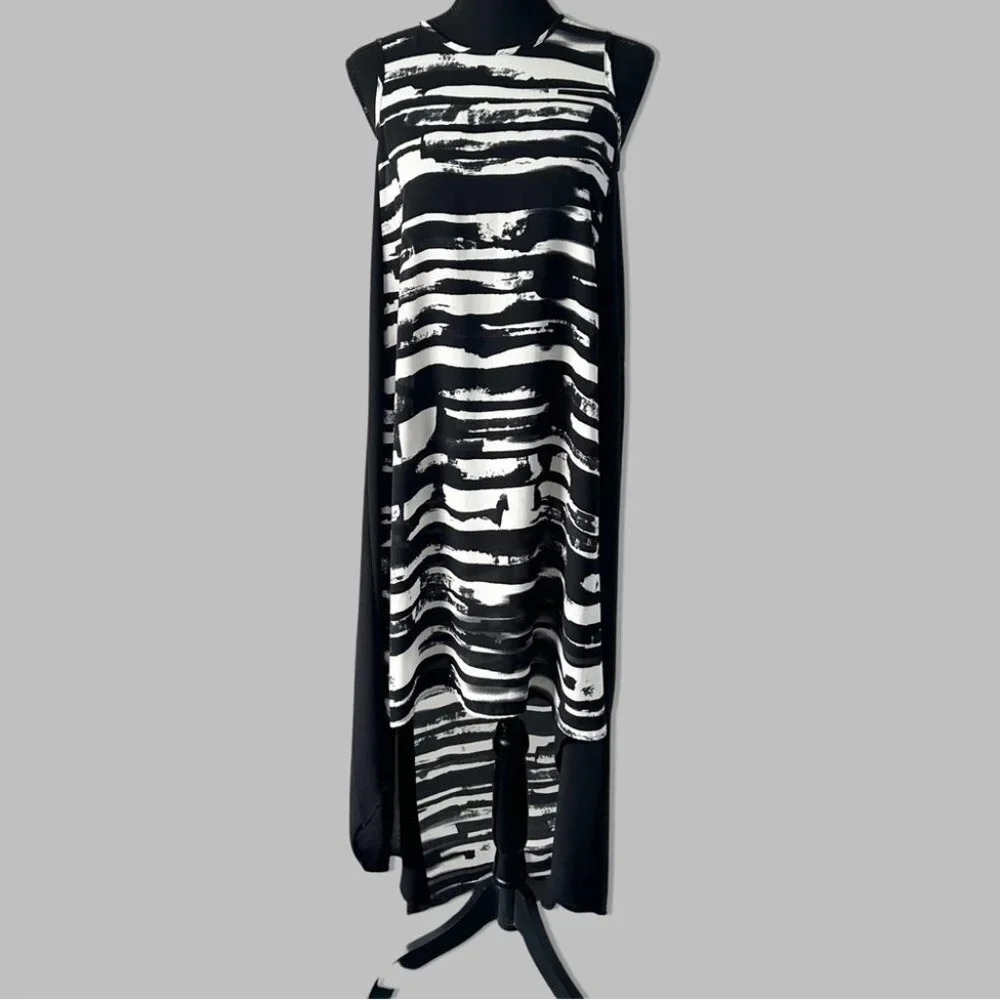 Philosophy Sleeveless High Low Chiffon Dress